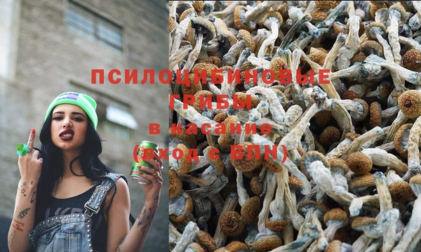 герыч Нефтекумск