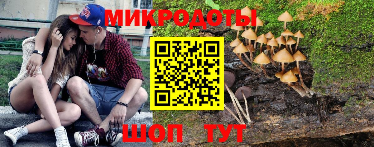 Липецк  Псилоцибиновые грибы Cubensis  Вход с VPN 