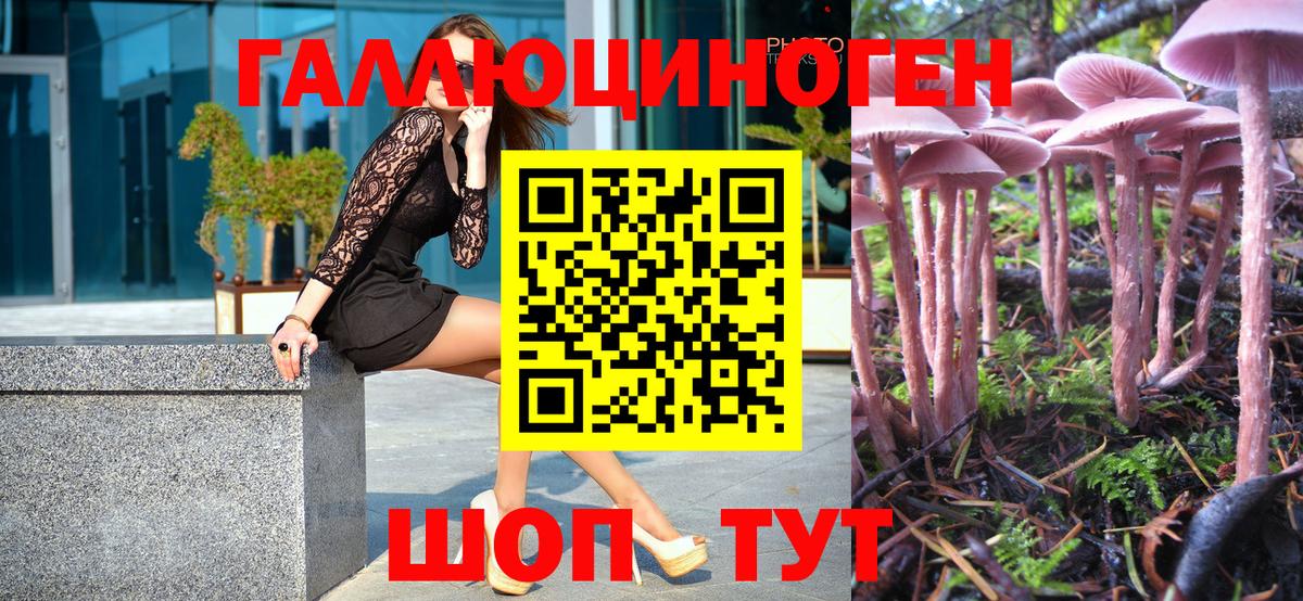 Конопля  Метадон  Мефедрон   A PVP СК   МЕФ кристаллы  Липецк  ГАШ  Каннабис 